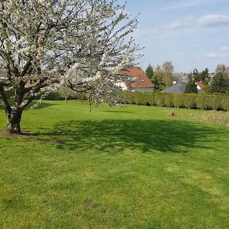 Le De L'oppidum Villa Etrun